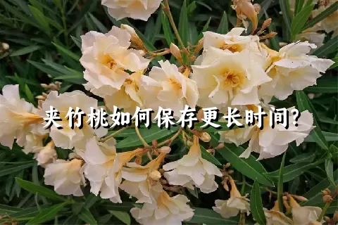 夹竹桃如何保存更长时间？