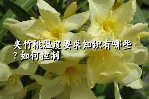 夹竹桃温度要求知识有哪些？如何控制