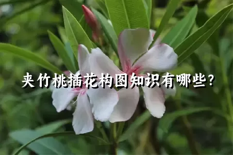 夹竹桃插花构图知识有哪些？