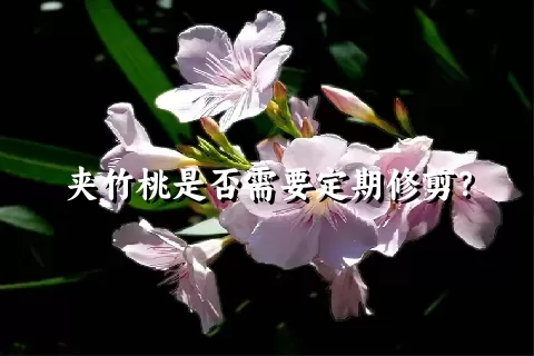 夹竹桃是否需要定期修剪？