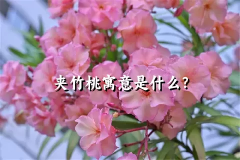 夹竹桃寓意是什么？