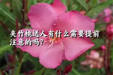 夹竹桃送人有什么需要提前注意的吗？