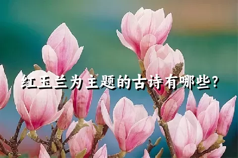 红玉兰为主题的古诗有哪些？