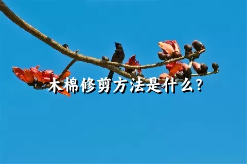 木棉修剪方法是什么？