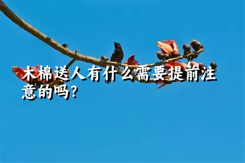 木棉送人有什么需要提前注意的吗？