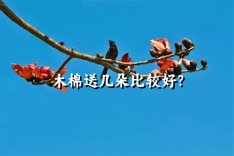 木棉送几朵比较好？