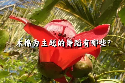 木棉为主题的舞蹈有哪些？