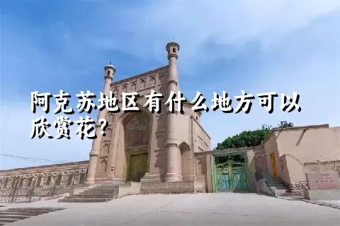 阿克苏地区有什么地方可以欣赏花？