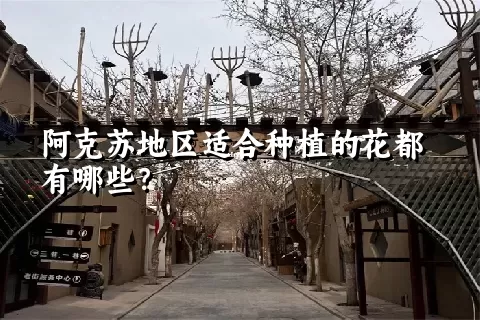 阿克苏地区适合种植的花都有哪些？