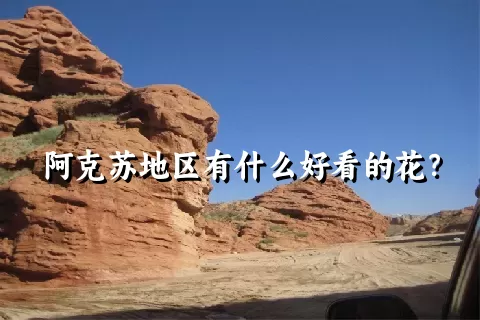 阿克苏地区有什么好看的花？