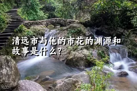 清远市与他的市花的渊源和故事是什么？