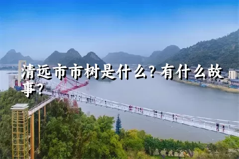 清远市市树是什么？有什么故事？