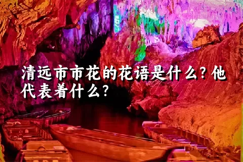 清远市市花的花语是什么？他代表着什么？