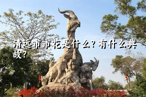 清远市市花是什么？有什么典故？