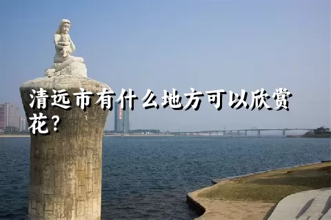 清远市有什么地方可以欣赏花？