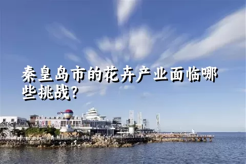 秦皇岛市的花卉产业面临哪些挑战？