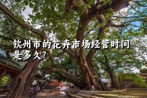 钦州市的花卉市场经营时间是多久？