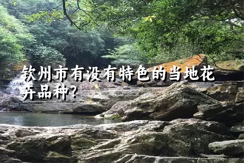 钦州市有没有特色的当地花卉品种？