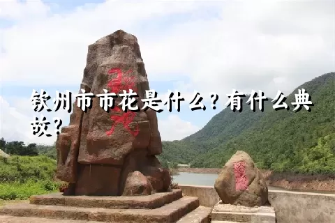 钦州市市花是什么？有什么典故？