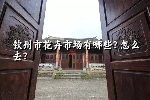 钦州市花卉市场有哪些？怎么去？