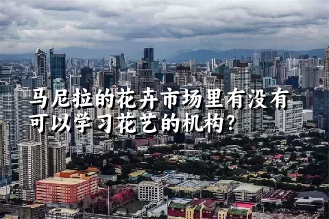 马尼拉的花卉市场里有没有可以学习花艺的机构？