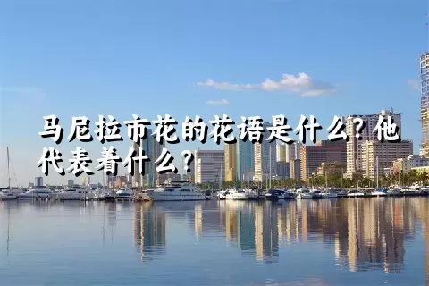 马尼拉市花的花语是什么？他代表着什么？