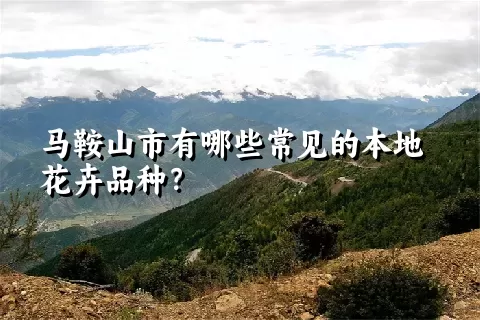 马鞍山市有哪些常见的本地花卉品种？