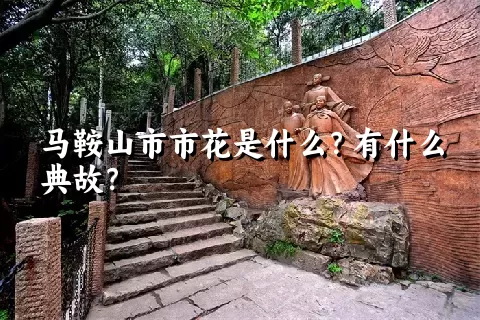 马鞍山市市花是什么？有什么典故？