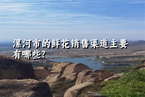 漯河市的鲜花销售渠道主要有哪些?