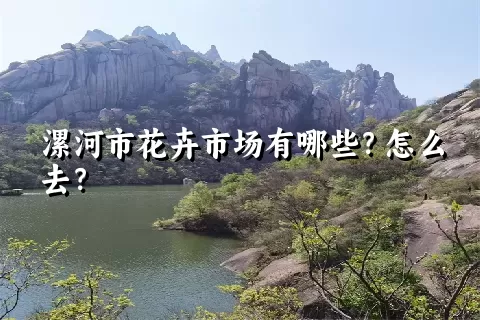 漯河市花卉市场有哪些？怎么去？