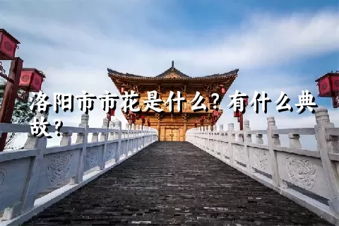 洛阳市市花是什么？有什么典故？