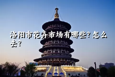 洛阳市花卉市场有哪些？怎么去？