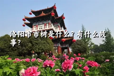 洛阳市市树是什么？有什么故事？