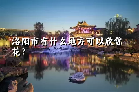 洛阳市有什么地方可以欣赏花？