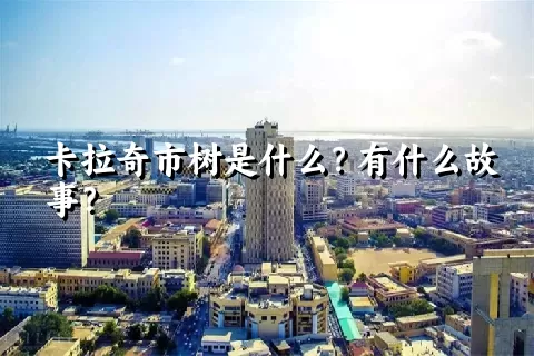 卡拉奇市树是什么？有什么故事？