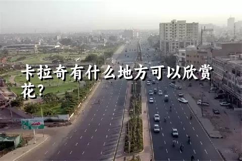 卡拉奇有什么地方可以欣赏花？