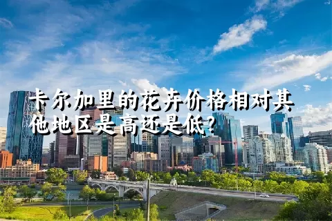 卡尔加里的花卉价格相对其他地区是高还是低？