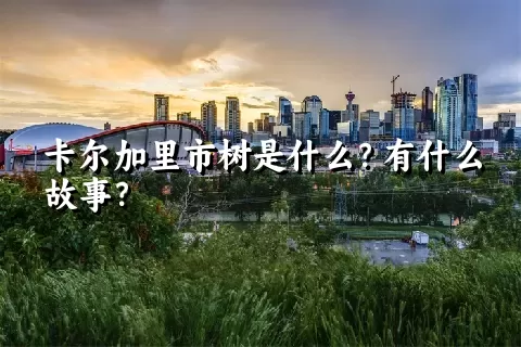 卡尔加里市树是什么？有什么故事？