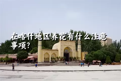 在喀什地区养花有什么注意事项？