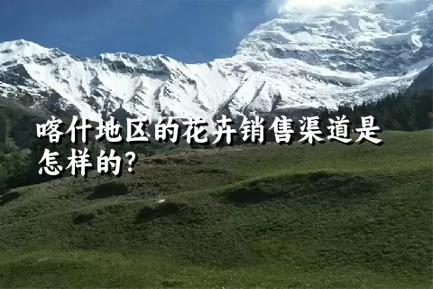 喀什地区的花卉销售渠道是怎样的？