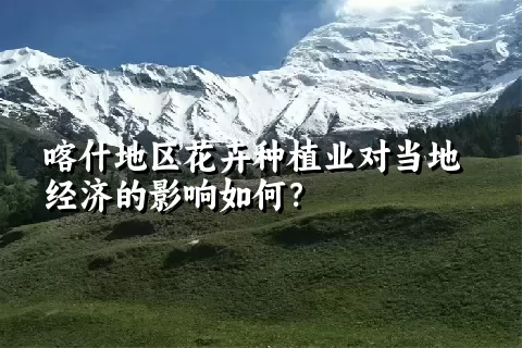 喀什地区花卉种植业对当地经济的影响如何？