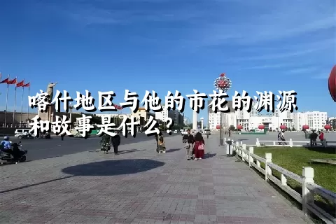 喀什地区与他的市花的渊源和故事是什么？