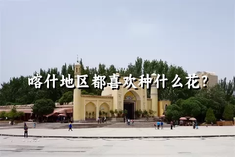 喀什地区都喜欢种什么花？