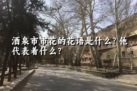 酒泉市市花的花语是什么？他代表着什么？