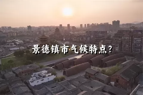 景德镇市气候特点？