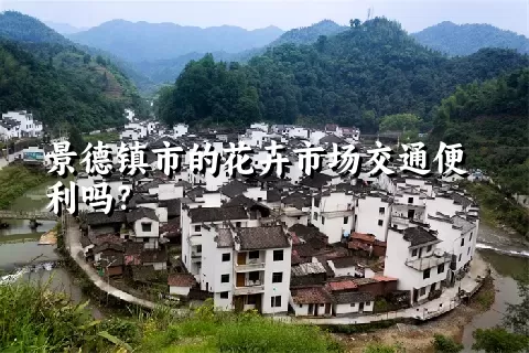 景德镇市的花卉市场交通便利吗？