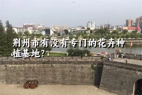 荆州市有没有专门的花卉种植基地？