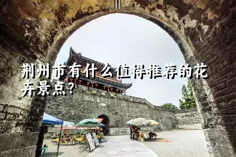 荆州市有什么值得推荐的花卉景点？