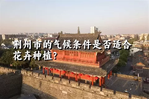 荆州市的气候条件是否适合花卉种植？