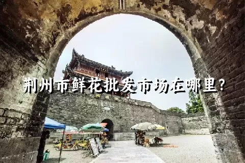 荆州市鲜花批发市场在哪里？